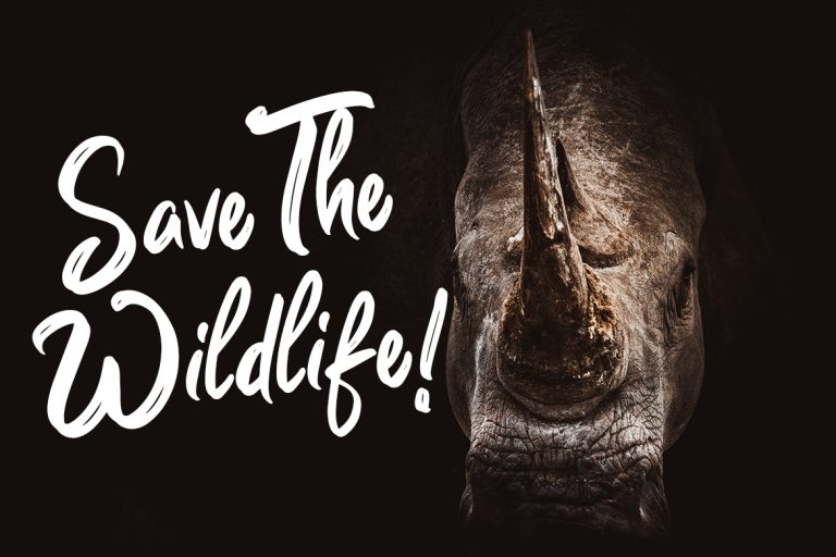 Guttenbay Brush Typeface - Image 3