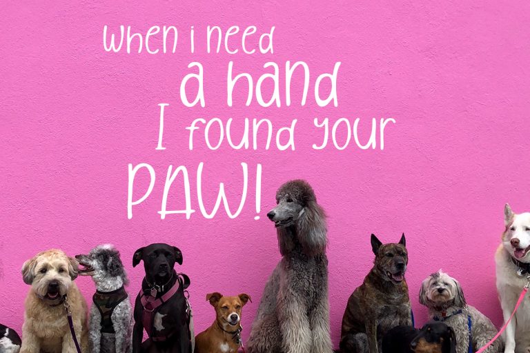 After Sunset Handwritten Condensed - Image 6