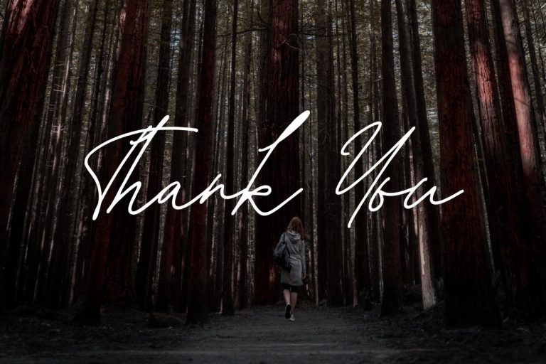 Tiffanyed Signature Collection - Image 9