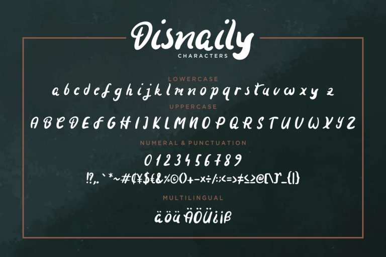 Disnaily Handdrawn Brush - Image 8