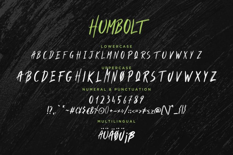 Humbolt Brush Typeface - Image 8