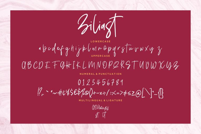 Ziliast Signature Natural - Image 8