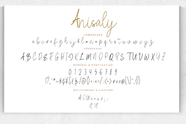 Anisaly Script - Image 8