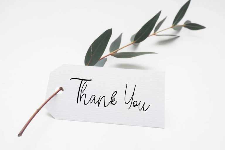 Anisaly Script - Image 9