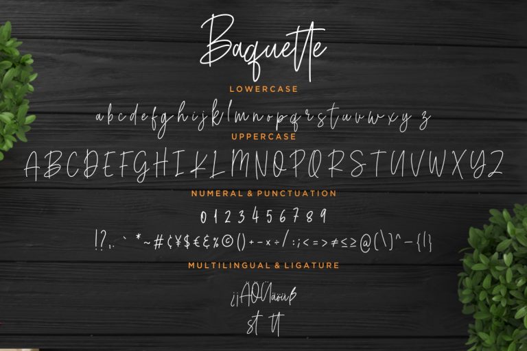 Baquette Monoline Script - Image 8