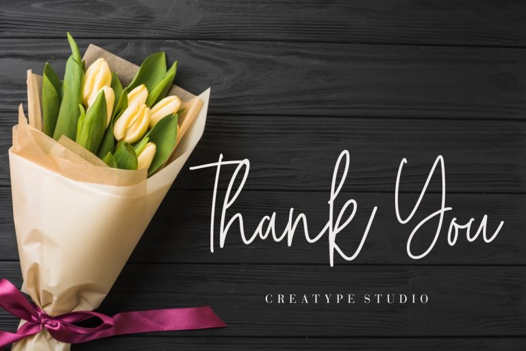 Baquette Monoline Script - Image 9