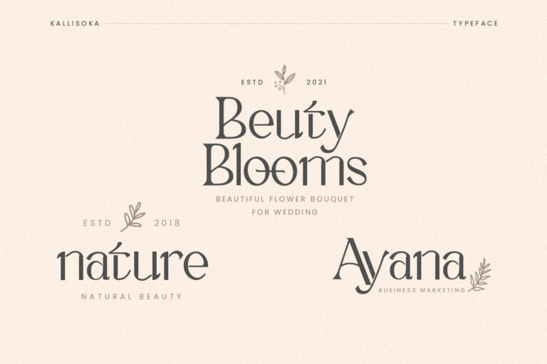 Kallisoka Modern Elegant Serif - Image 6