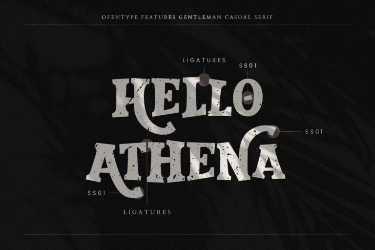 Gentleman Casual Serif - Image 6