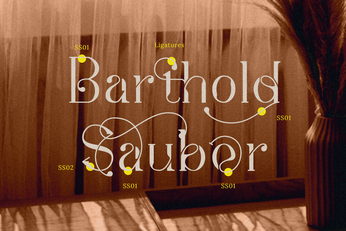 Sebastian Fashion Modern Serif - Image 8