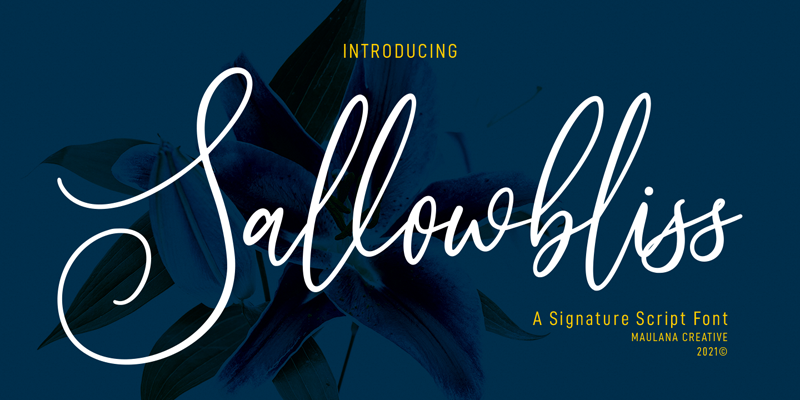 10+ Best Choice of Typography Cursive Font for Designer