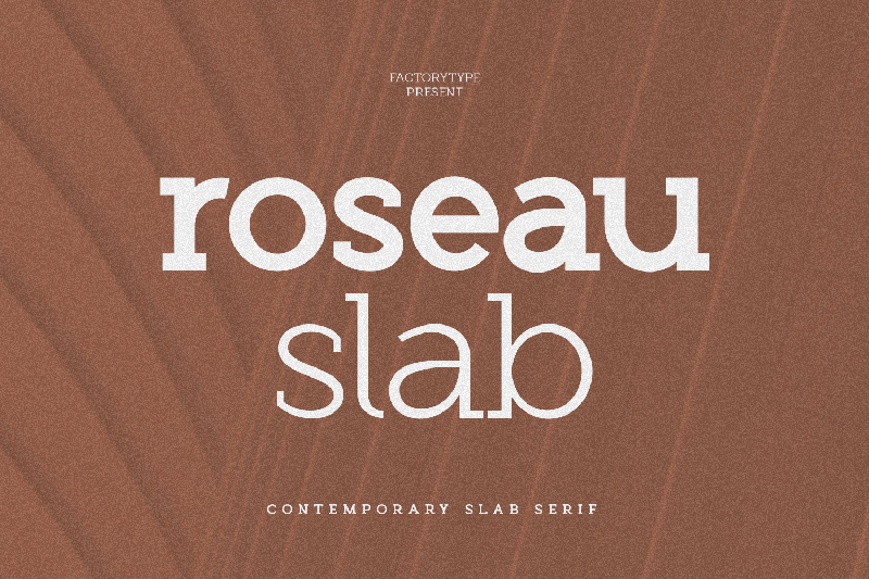 10 Most Popular Slab Serif Font Chosen by Designer