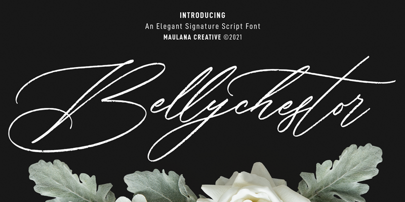 bellychestor font