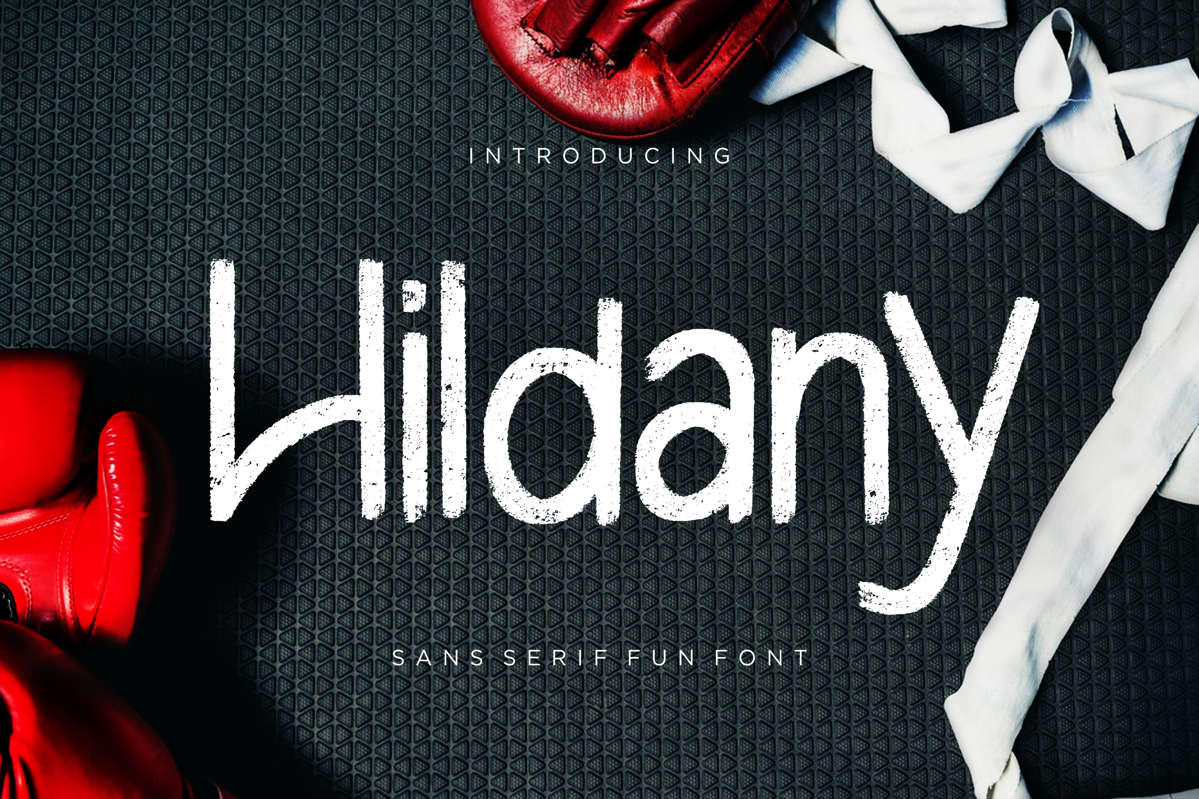 Creatype Studio - Hildany