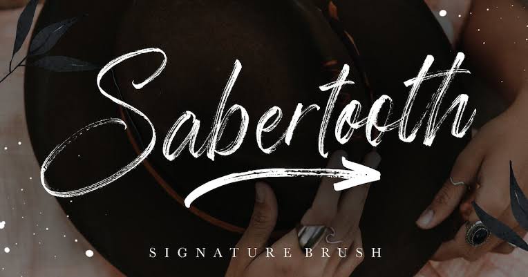 Sabertooth Signature Brush