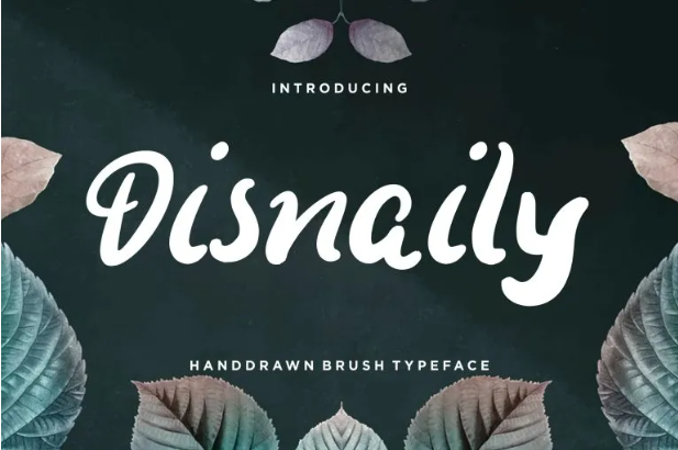 Disnaily Brush Font