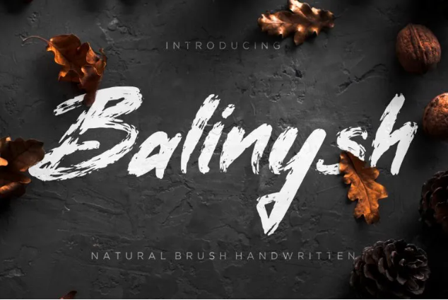 Balinysh Handwritten Brush Font