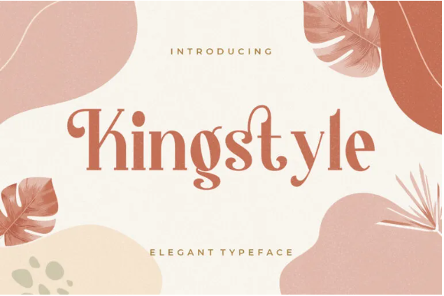 Kingstyle Elegant Serif Typeface