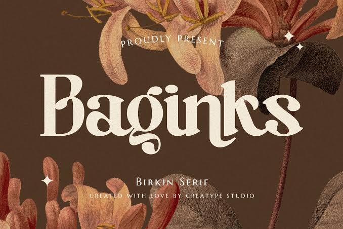 Baginks Birkin Serif Font