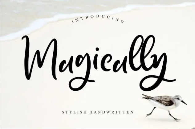 Magically Handwritten Font