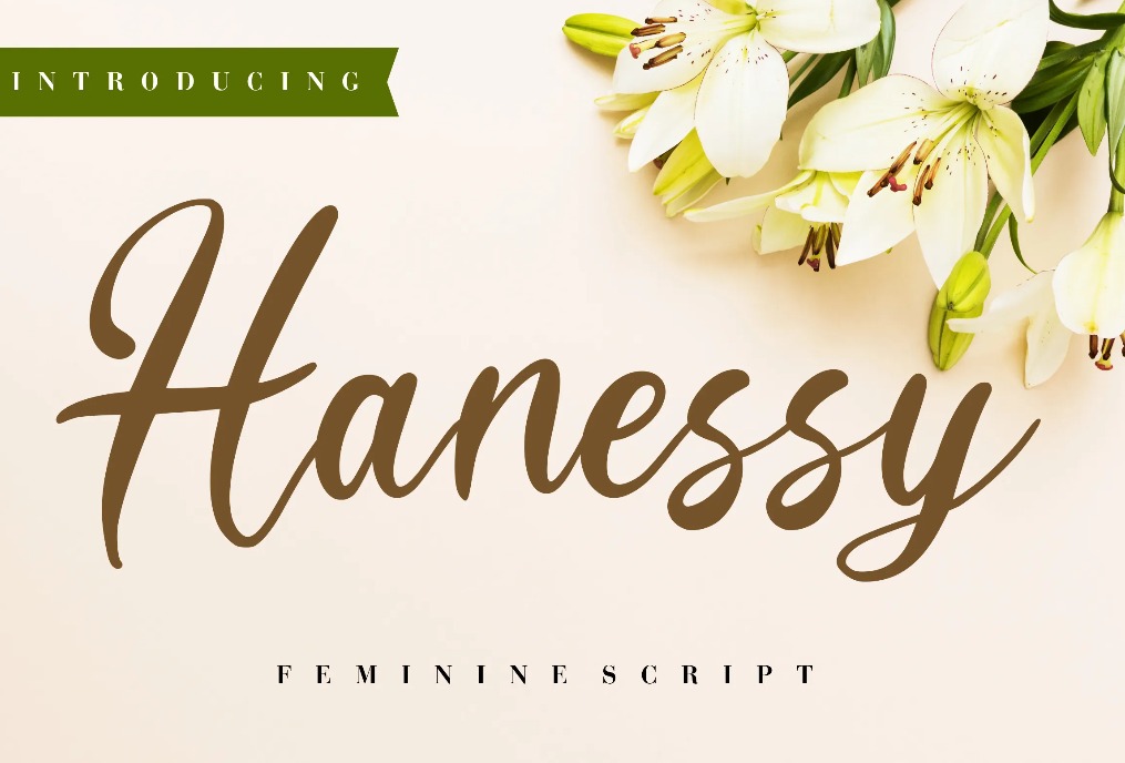 Hanessy Feminine Font