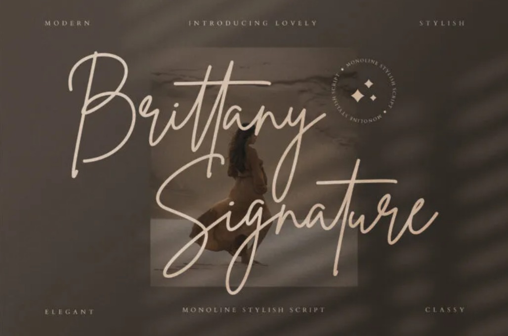 Brittany Monoline Stylish Script Font for Cosmetic Packaging Design