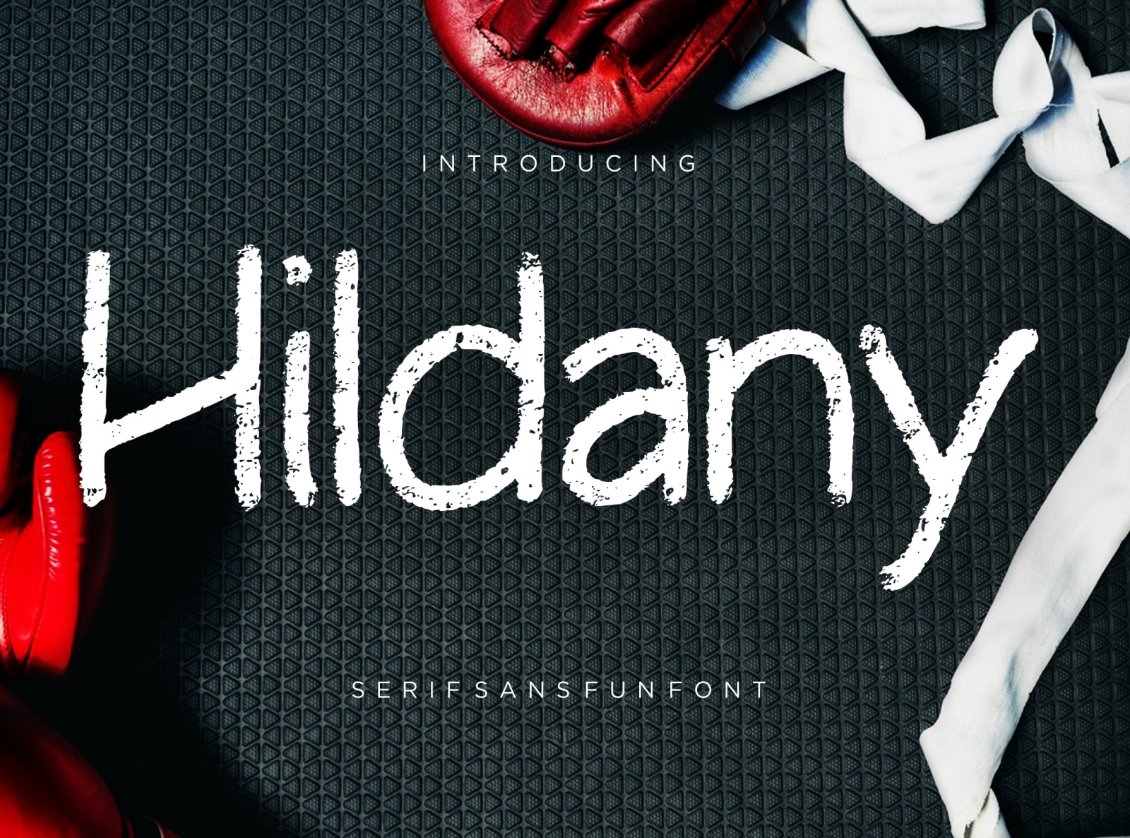 the preview of Hildany font