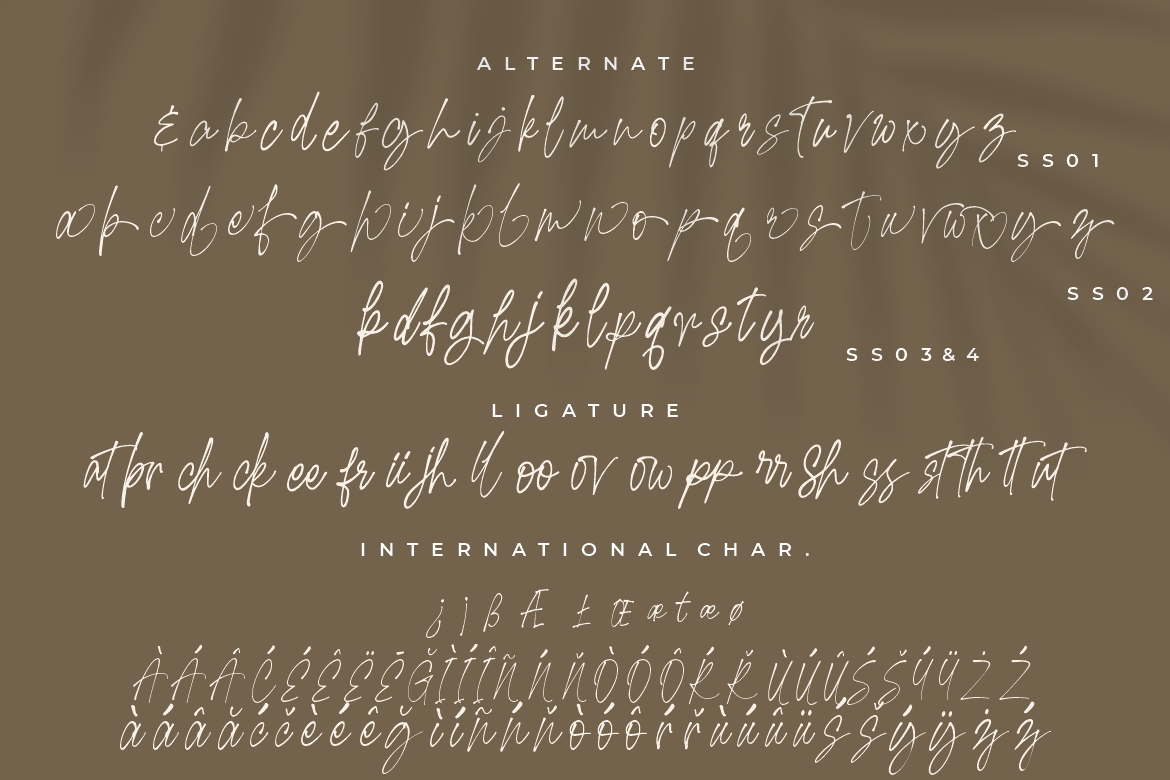 Gabriella Stylish Wedding Font - Image 10