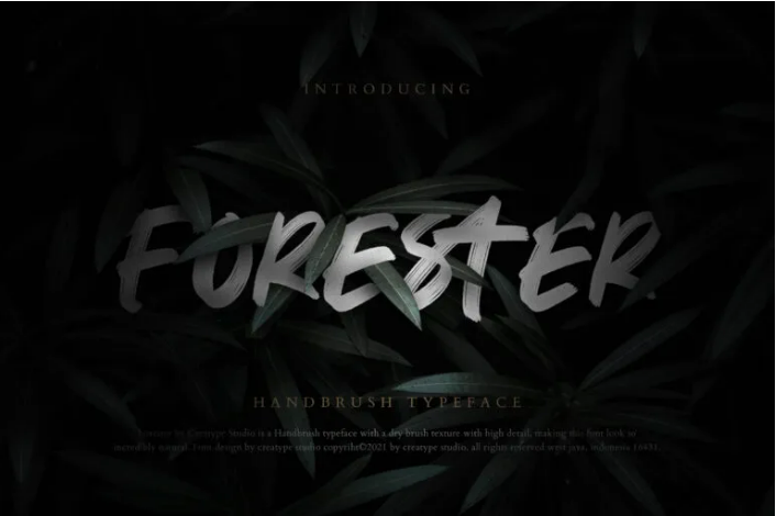 Forester Hand Brush Typeface
