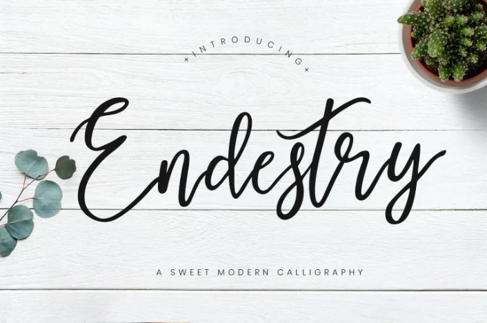 Endestry Modern Calligraphy Typeface