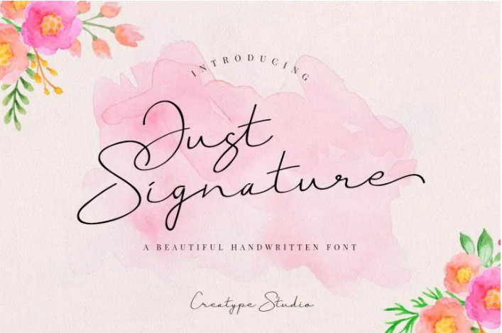 Just Signature Script Typeface
