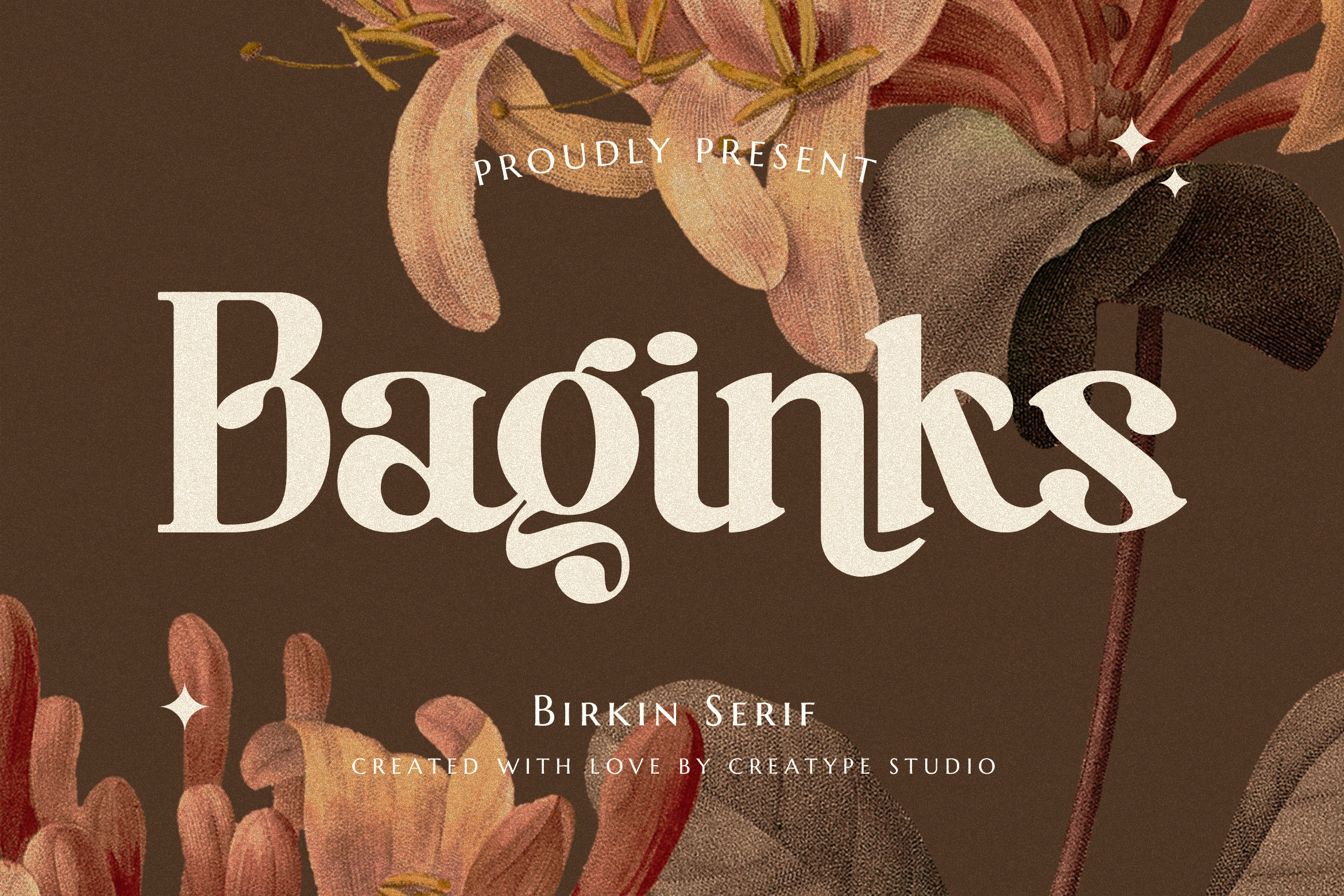 Baginks Birkin Serif Font for Travel Agency Logo