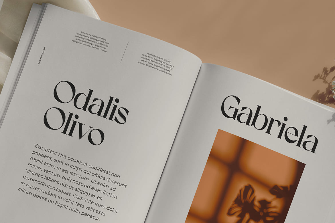 Koolegant Elegant Serif as Cover Book Font