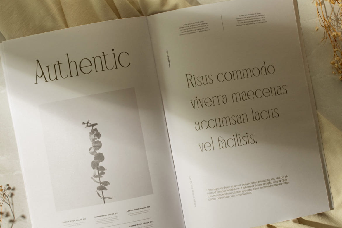 Mangroove Modern Sans Serif Font