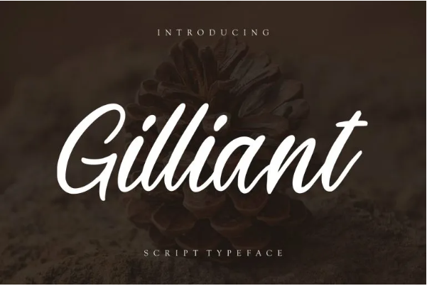 Gilliant Relaxed Script Font