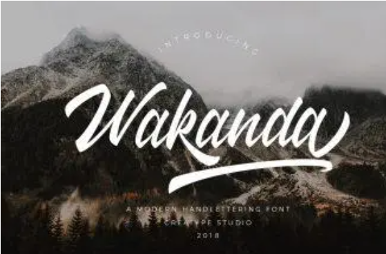Wakanda Adventurous Race Car Font