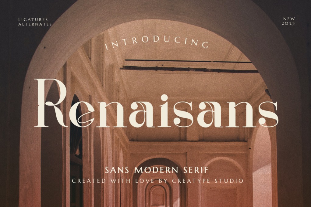 Renaisans Sans Modern Serif Font for Quotes for Tattoo