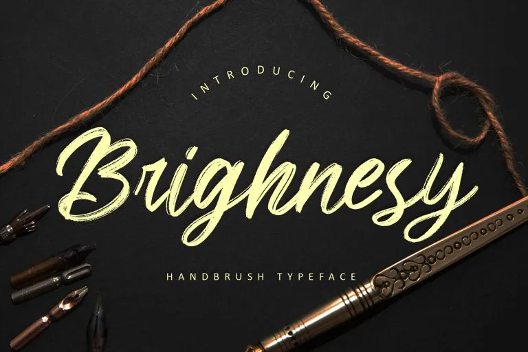 Brighnesy Hand Brush
