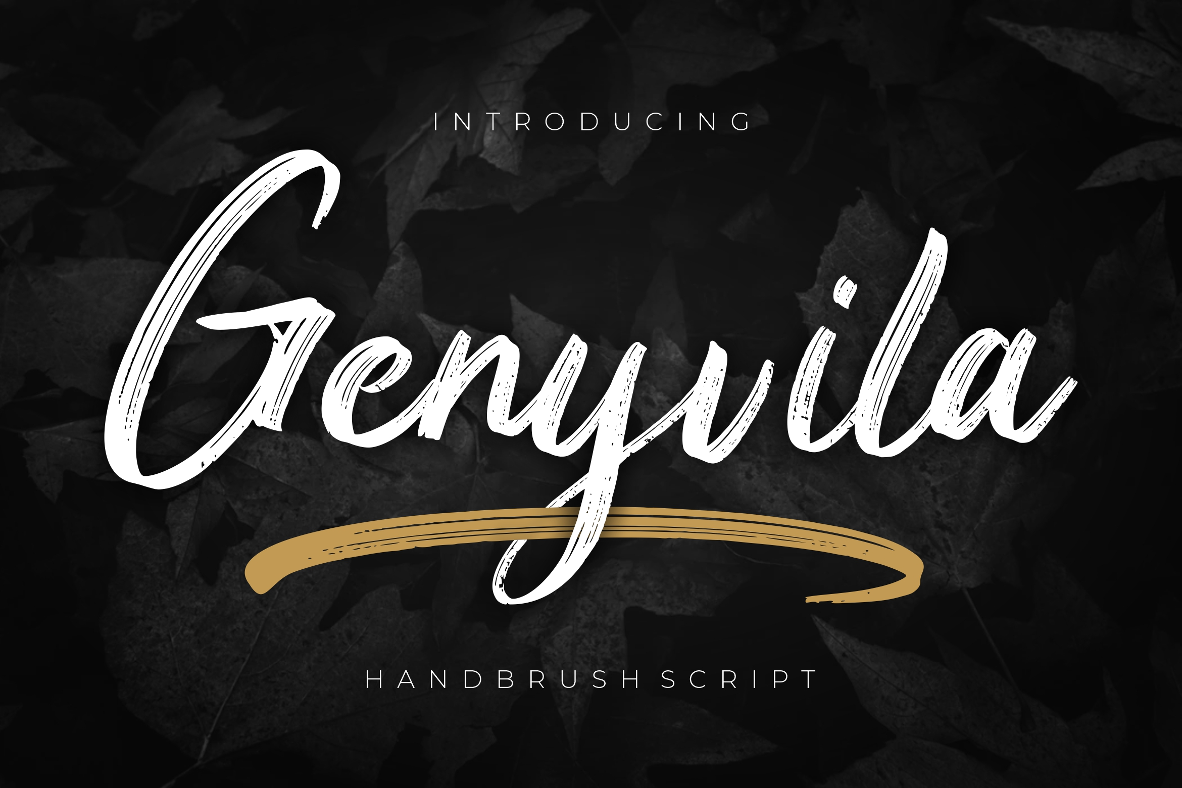 Genyvila Handbrush Business Font