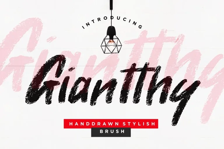 Giantthy Handdrawn Stylish Brush