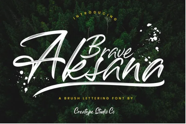 aksana font