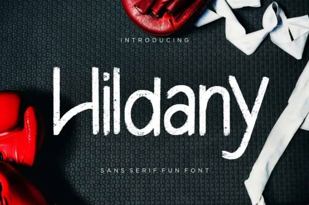 2. Hildany Sans Fun