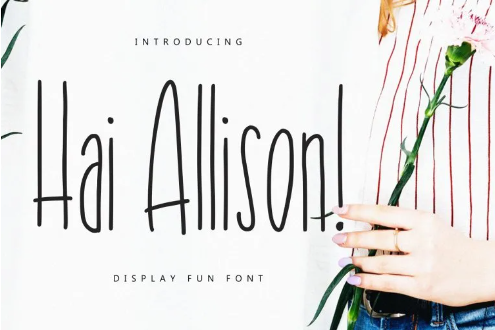 4. Hai Allison Fun Display