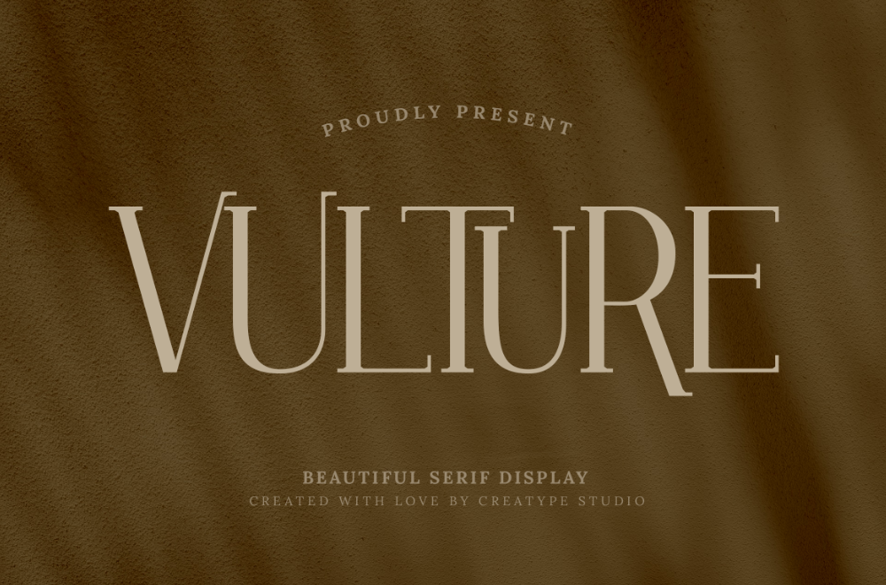 4. Vulture Beautiful Serif