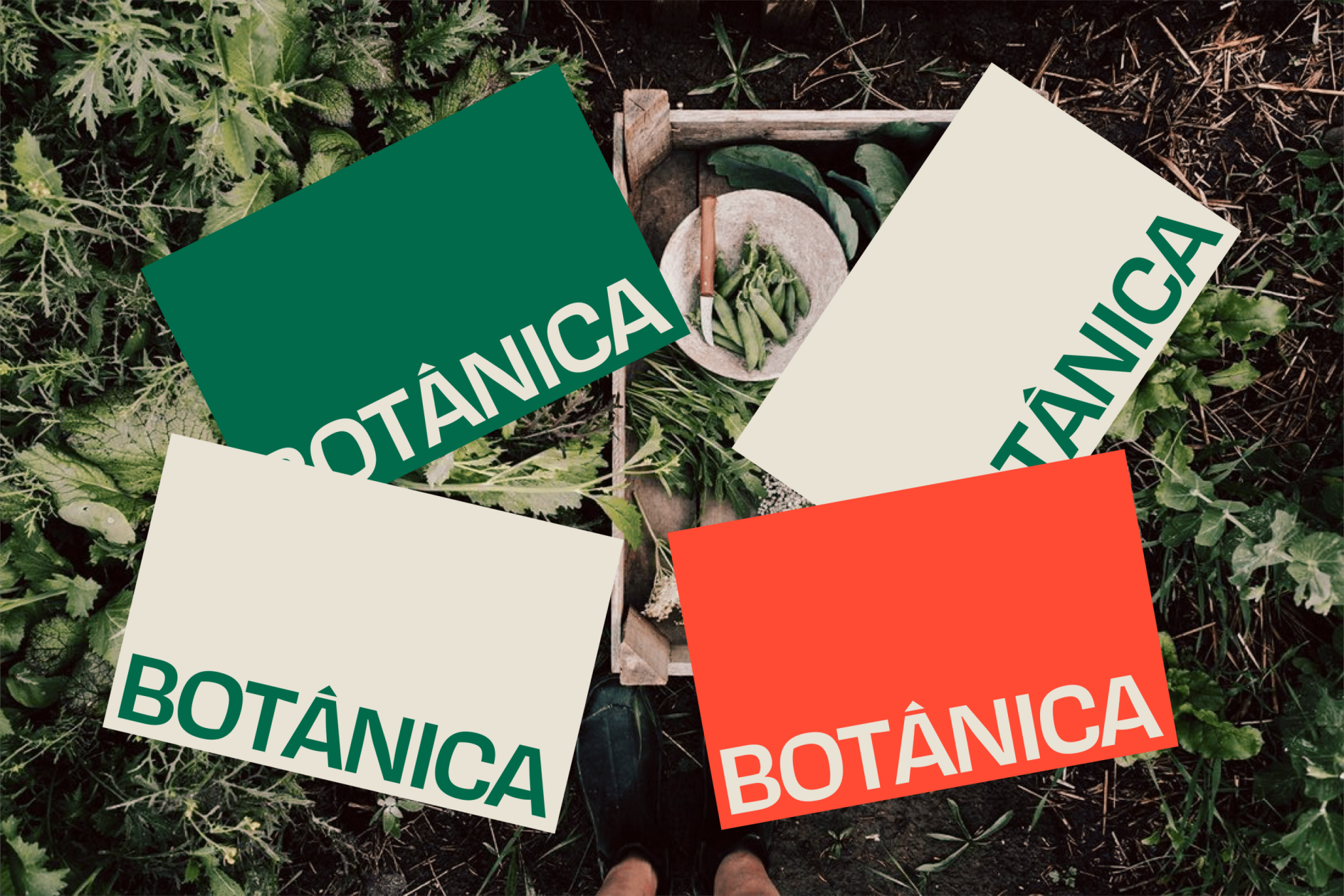 How to Implement Botanica Graphic Design Trend for Brands