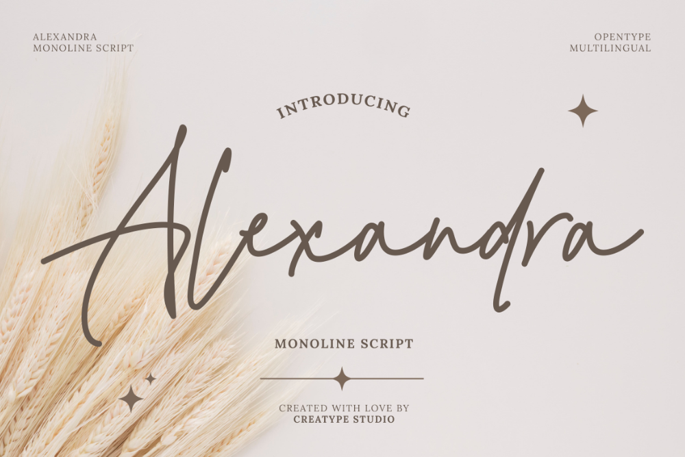 13. Alexandra Monoline Script