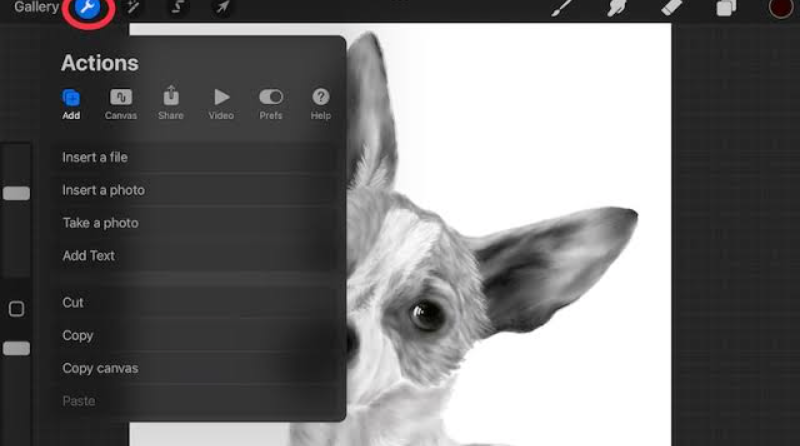 7. Reference Companion